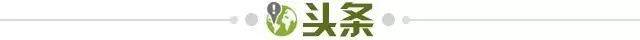 82e8d0d5-a8b9-4fa5-8a1f-3c709c905abc.jpg@!img01
